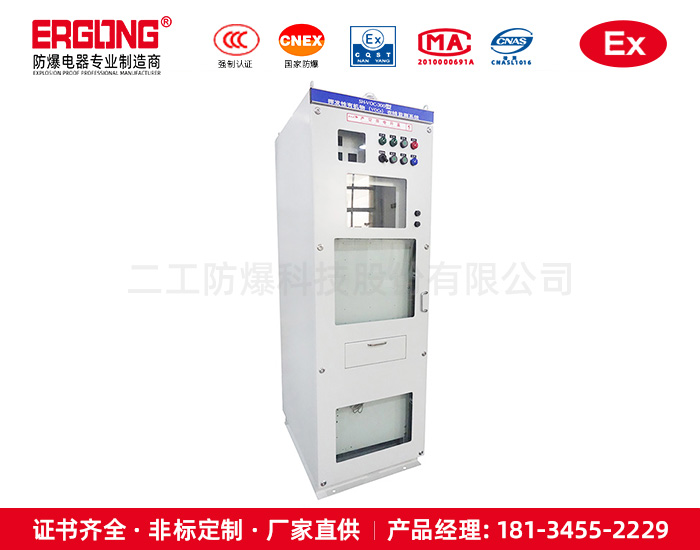 克拉玛依气化炉（天燃气）专用防爆正压柜