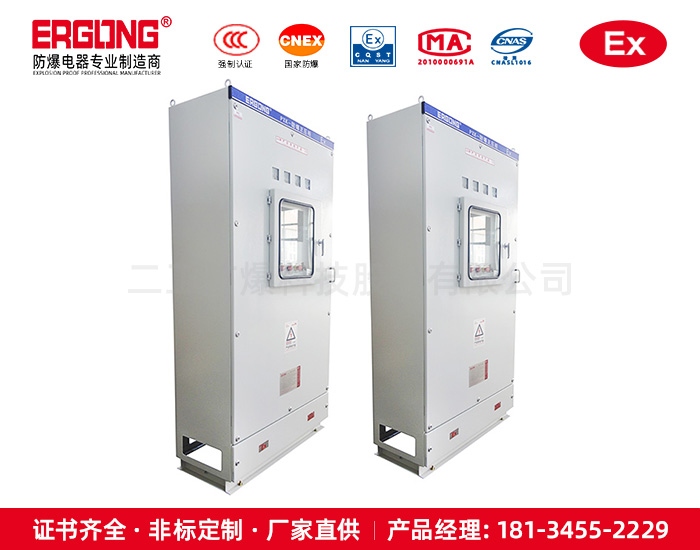 正压型防爆控制柜PLC