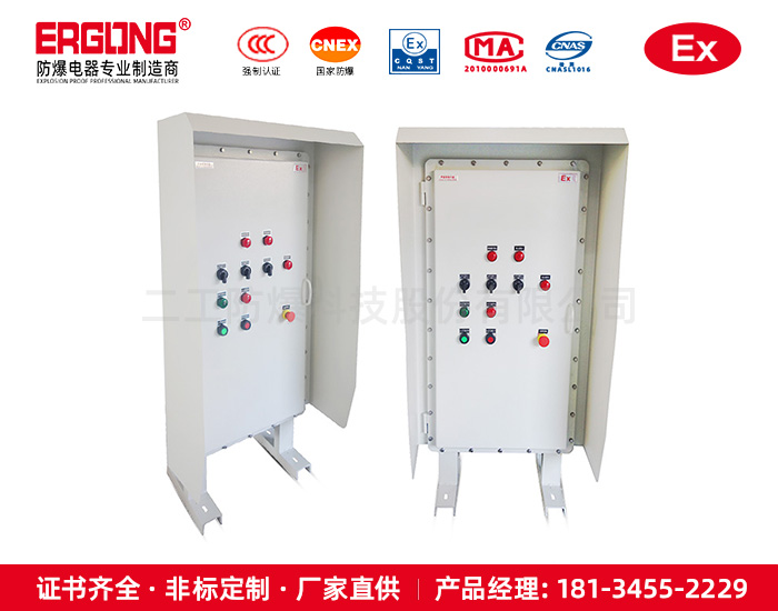 户外含防雨罩仪表防爆配电箱