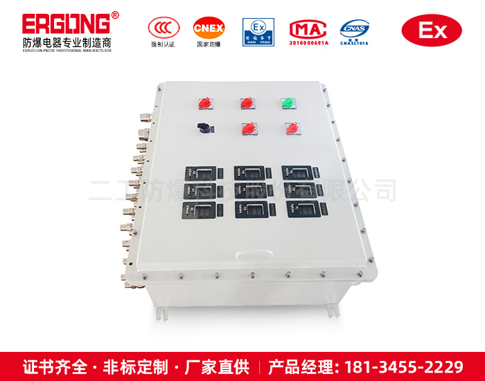 脉冲阀防爆端子箱