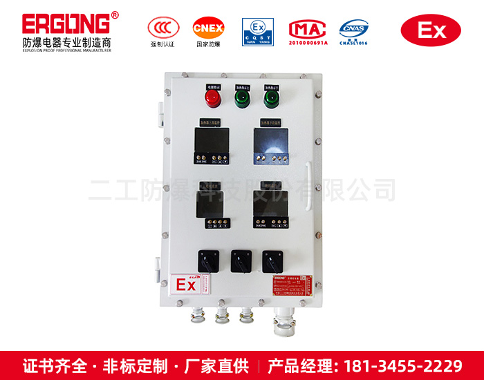 防爆配电箱化工制动化遥控防爆启动箱定制加工
