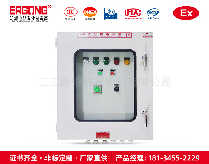 施工管廊就地防爆检修配电柜IIC级动力插座箱厂家